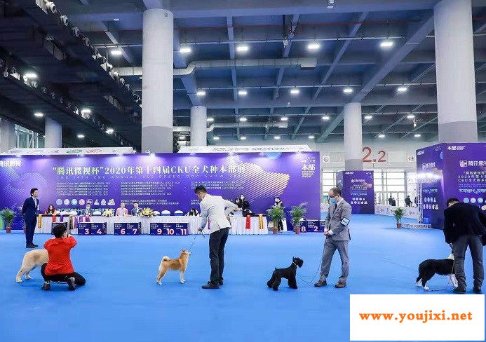 广州4展馆同时举办多场展览会，单日观众超6万人次