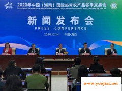 2020海南冬交会12月18日开幕，这些亮点切勿错过！
