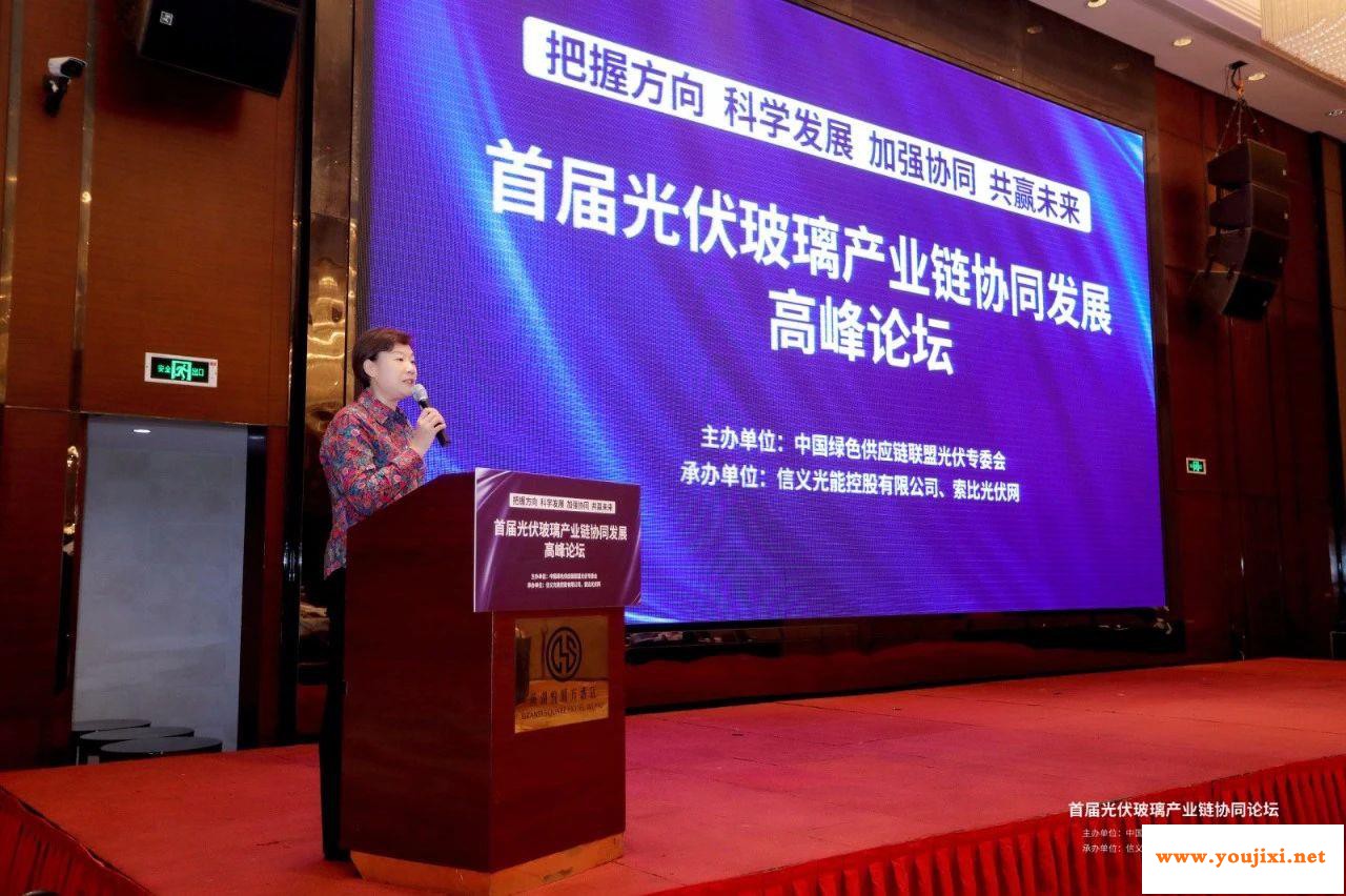首届光伏玻璃产业链协同发展高峰论坛在芜湖召开
