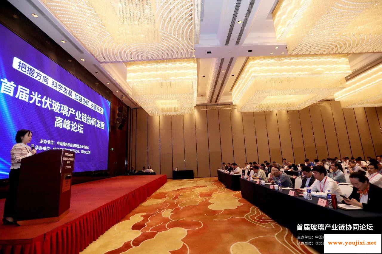 首届光伏玻璃产业链协同发展高峰论坛在芜湖召开