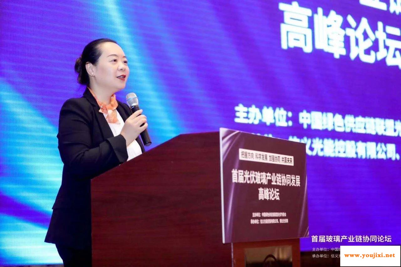 首届光伏玻璃产业链协同发展高峰论坛在芜湖召开