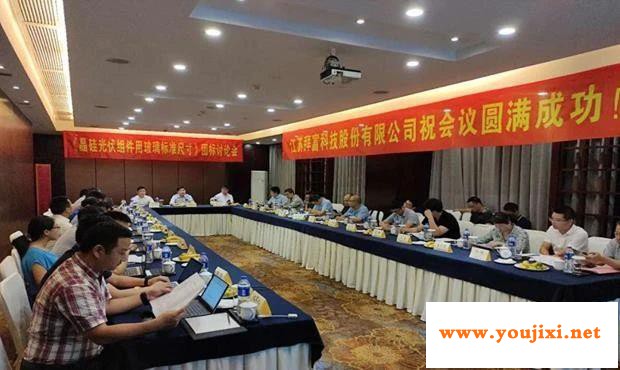 《晶硅光伏组件用玻璃标准尺寸》团标讨论会在宜兴召开 《晶硅光伏组件用玻璃标准尺寸》团标讨论会在宜兴召开