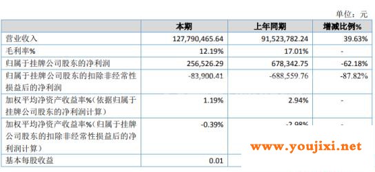 索尔玻璃2019年净利25.65万下滑62.18% 销售毛利率下滑