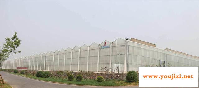 晶硅太阳能电池用银浆及高漫反射背板玻璃材料项目签约仪式举行 晶硅太阳能电池用银浆及高漫反射背板玻璃材料项目签约仪式举行