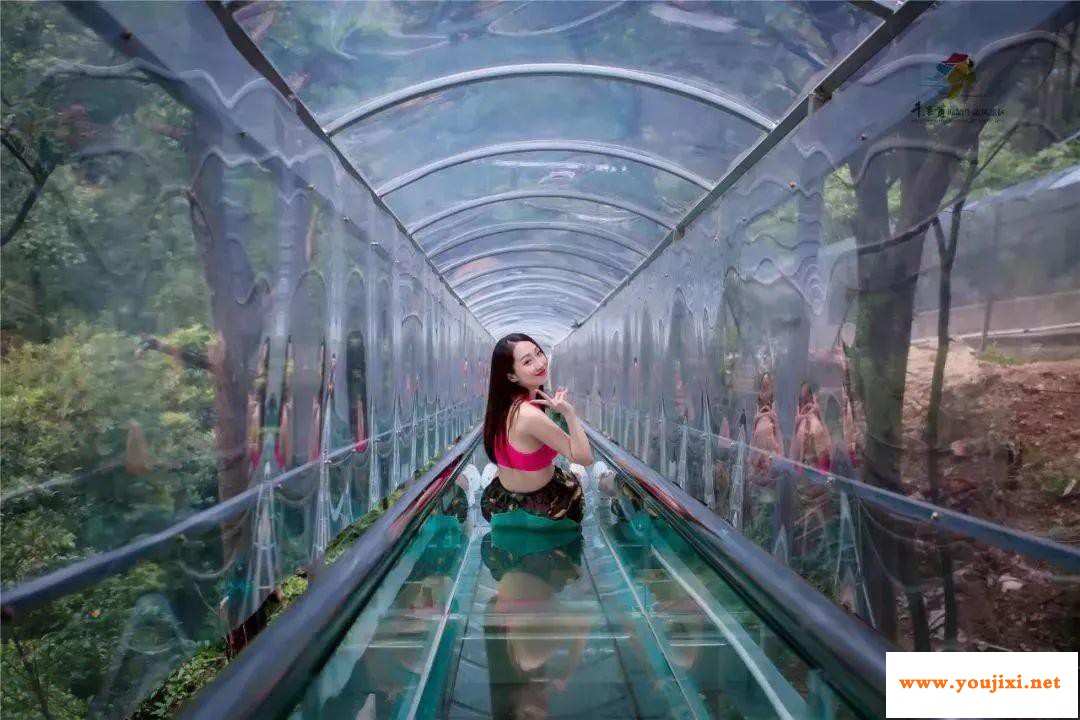 “网红”玻璃桥们，正在不断关停，因为......