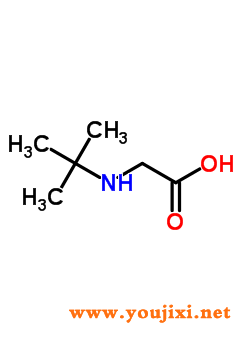 6939-23-7 N-t-丁基甘氨酸盐酸盐