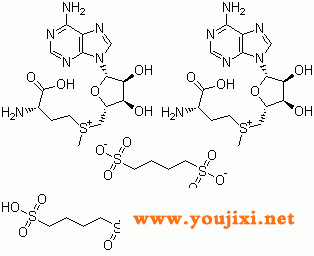 101020-79-5 S-腺苷甲硫氨酸 1,4-丁二磺酸盐