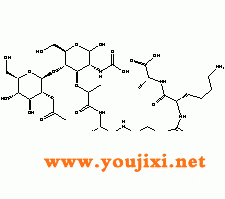 9001-63-2;12650-88-3 来自人类中性粒细胞的溶菌酶