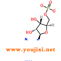 4578-31-8;149022-20-8 腺苷 5'-单磷酸钠*来自 酵母