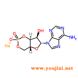 37839-81-9 Adenosine-3',5'-环磷酸酯 钠盐