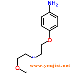 52481-41-1 4-(2-morpholin-4-ylethoxy  )苯胺