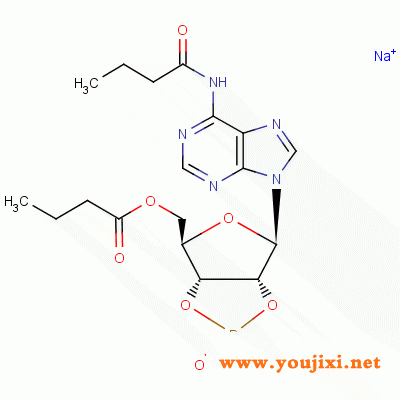 16980-89-5 N6-2'-O-Dibutyryl-adenosine  3',5'-环磷酸钠盐一水合物