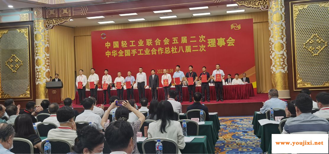 行业唯一！海尔冰箱获中轻联科技进步一等奖